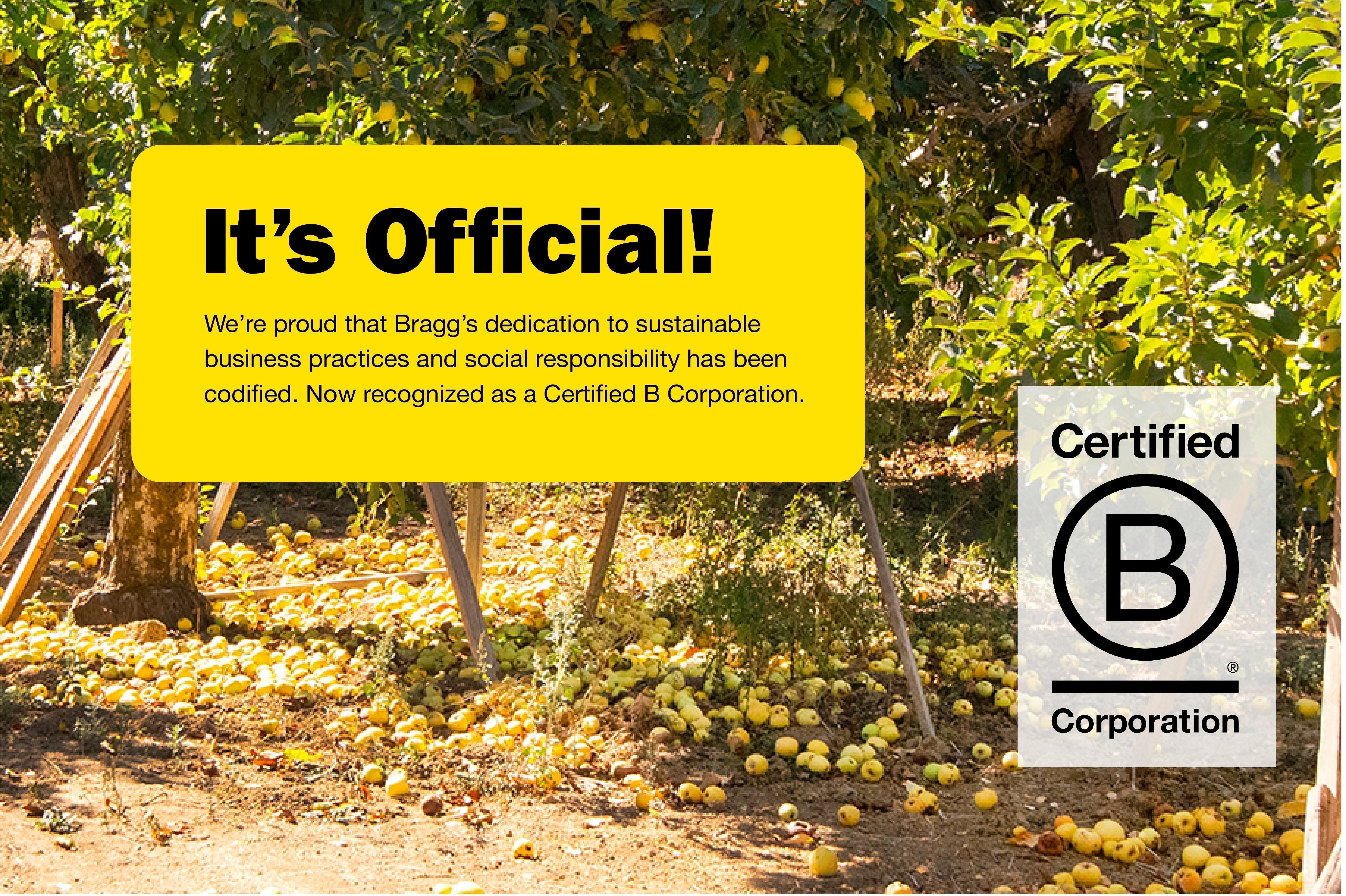 Bragg Employees Pave the Road to B Corp Certification