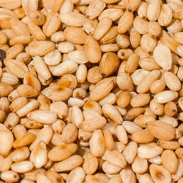 Organic Sesame Seed