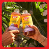 Apple Cider Vinegar Refresher, Concord Hibiscus, 2 Pack