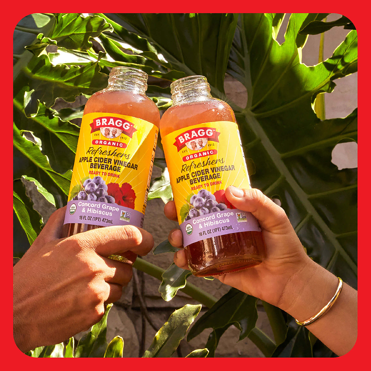 Apple Cider Vinegar Refresher, Concord Hibiscus, 2 Pack