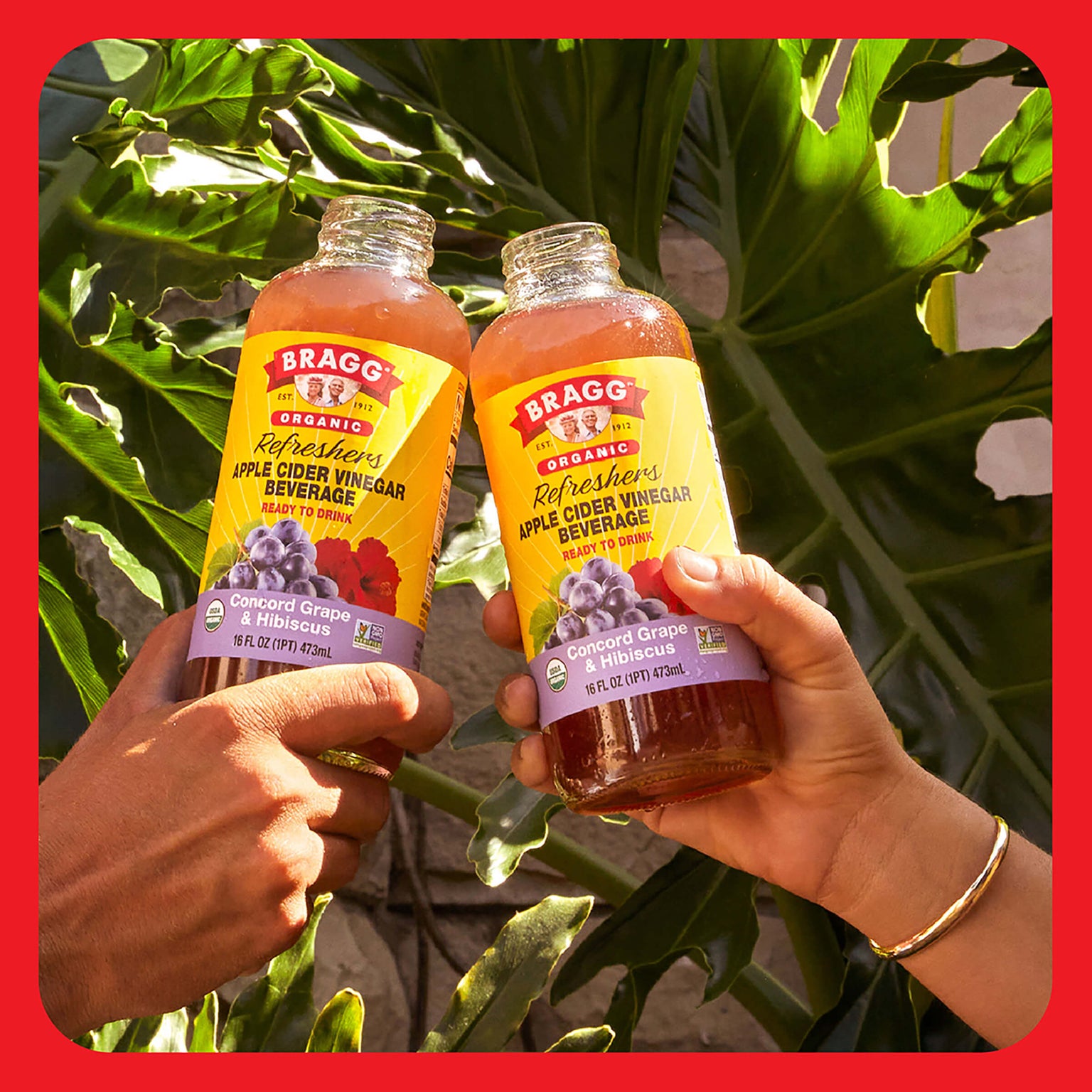 Apple Cider Vinegar Refresher, Concord Hibiscus, 2 Pack