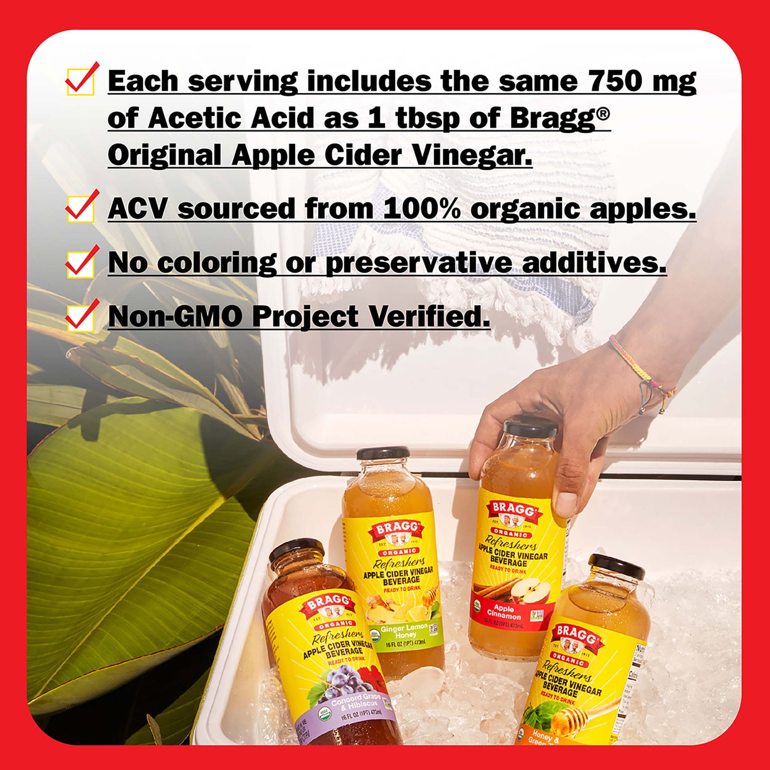 Apple Cider Vinegar Refresher, Concord Hibiscus, 2 Pack