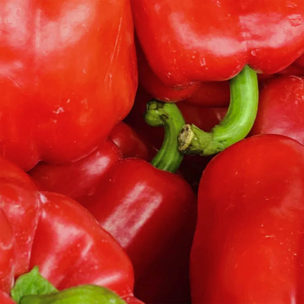 Organic Dried Red Bell Pepper