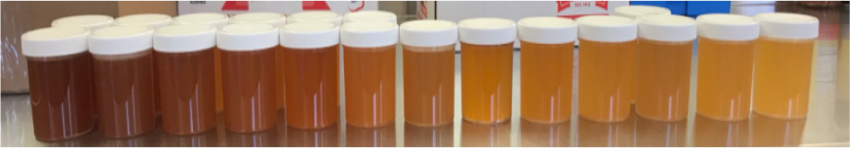 Apple Cider Vinegar - How it is Made and What Makes it so Good?