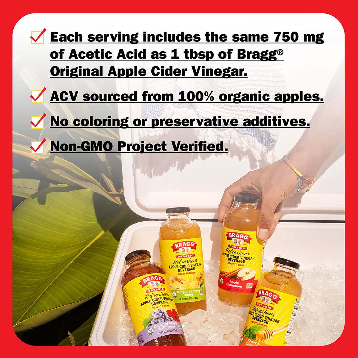 Apple Cider Vinegar Refresher, Ginger Lemon Honey, 2 Pack