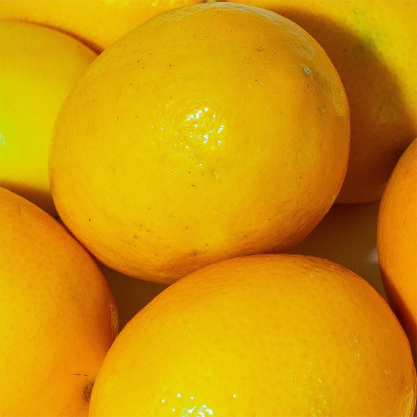 Organic Dehydrated Lemon Peel