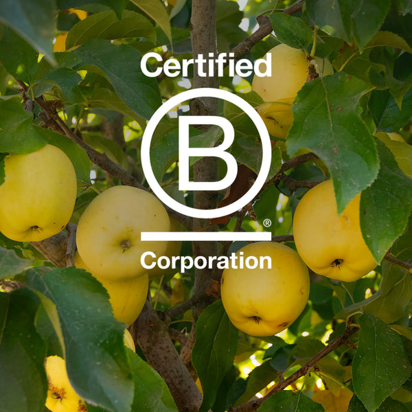 Bragg's Journey to B Corp Certification